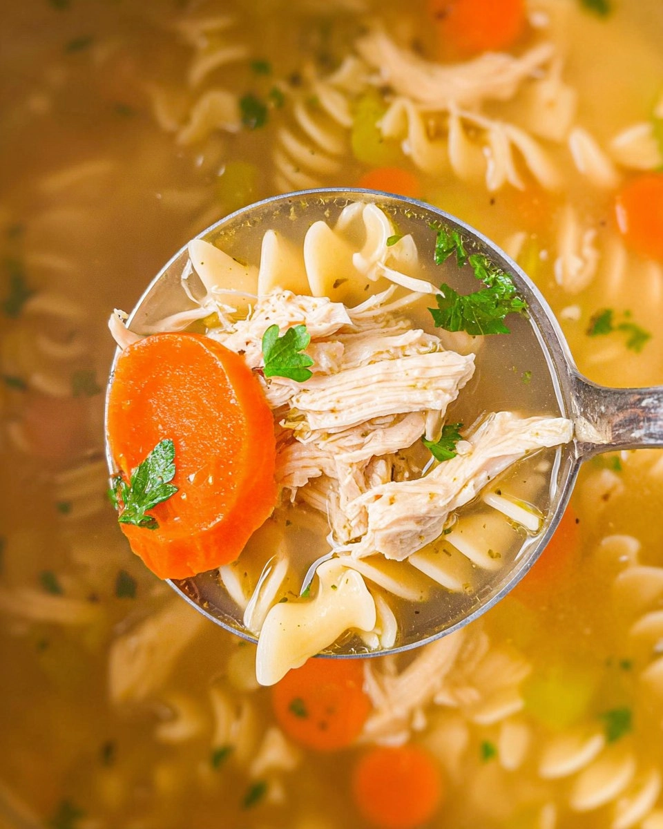 Crockpot Chicken Noodle Soup