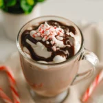Crockpot-Peppermint-Hot-Chocolate-Recipe