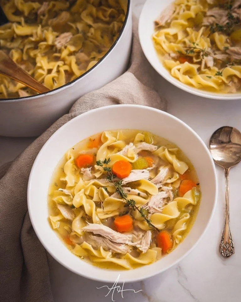 Homemade-Turkey-Noodle-Soup-Recipe