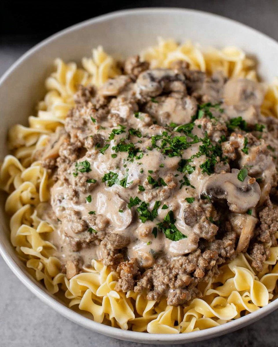 Ground Beef Stroganoff 91 Ground Beef Stroganoff