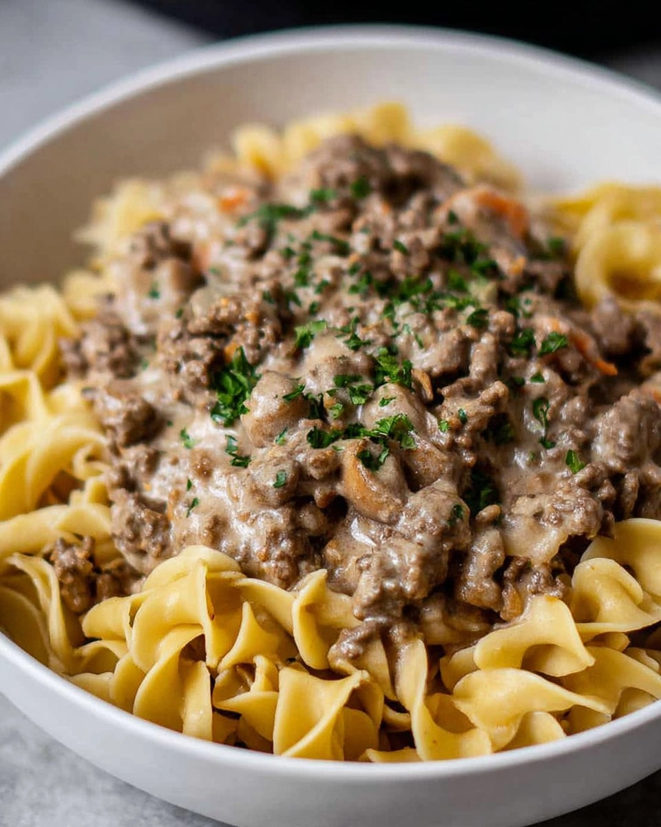 Ground Beef Stroganoff 93 Ground Beef Stroganoff